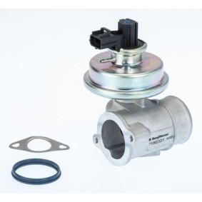 Compre Válvula EGR da BTS TURBO A100016 a um preço baixo por 102,27 €