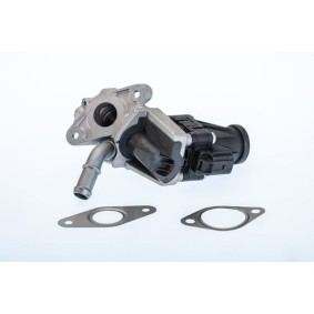 Comprar Válvula EGR de BTS TURBO A100070BL a bajo precio de 141,85 €