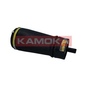Compre Mola pneumática da KAMOKA 2079031 a um preço baixo por 142,83 €