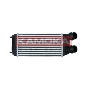 Acquista Intercooler da KAMOKA 7750069 a buon mercato per soli 190,64 €
