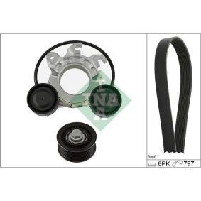Compre Jogo de correia trapezoidal estriada de INA online para 408 SUV (P54) a preços moderados