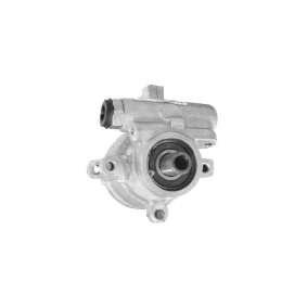 Servopumpe von MAPCO für 460 L (464) günstig online kaufen