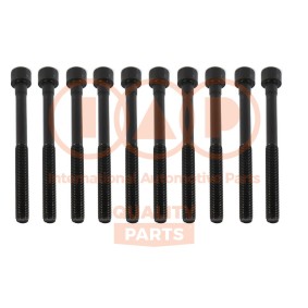 Zylinderkopfschraubensatz 119-13092 von IAP QUALITY PARTS günstig für 91,10 € online kaufen