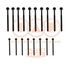 Zylinderkopfschraubensatz 119-14034P von IAP QUALITY PARTS günstig für 95,25 € online kaufen