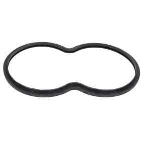 Dichtung Thermostat  des Herstellers LEMA - Originalware Artikelnummer: 24808.10