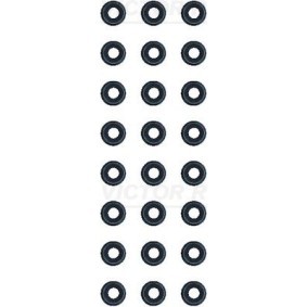 Osta Tiivistesarja, venttiilivarsi REINZ:llä 12-19304-01 edullisesti hintaan 85,46 €