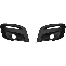 Lüftungsgitter, Stoßfänger 4013947 von DIEDERICHS günstig für 64,87 € online kaufen