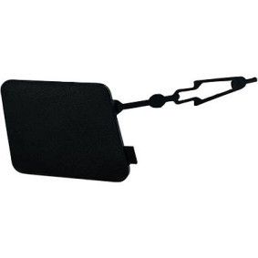 Klappe, Abschlepphaken 4487254 von DIEDERICHS günstig für 29,18 € online kaufen