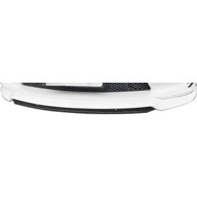 Spoilerlippe 7930461 TESLA von DIEDERICHS