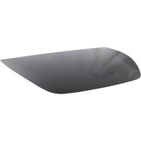 Motorhaube 7960000 TESLA von DIEDERICHS