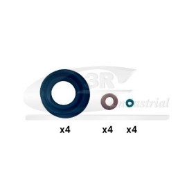 Injektor-Reparatursatz 87209 von 3RG günstig für 7,17 € online kaufen