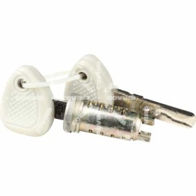 Compre Jogo de canhões de fechaduras da COVIND 540/198 a um preço baixo por 19,80 €