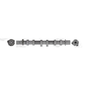 Compre Árvore de cames da AE CAM1049 a um preço baixo por 186,22 €