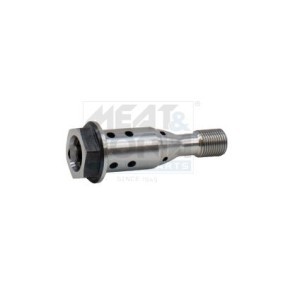 Steuerventil, Nockenwellenverstellung 915014 von MEAT & DORIA günstig für 111,02 € online kaufen