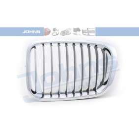 Kühlergrill 20 08 05-11 von JOHNS günstig für 14,54 € online kaufen