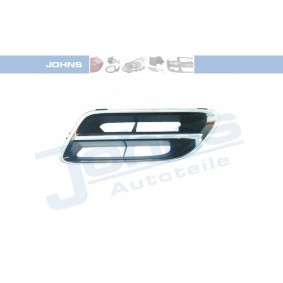 Kühlergrill 27 12 15 von JOHNS günstig für 22,73 € online kaufen