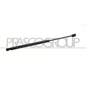 Heckklappendämpfer von PRASCO