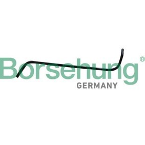 Köp Kylvätskerör av Borsehung B11996 till det låga priset 194,41 kr