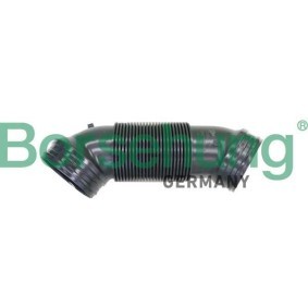 Compre Tubo flexível de admissão, filtro de ar da Borsehung B12324 a um preço baixo por 41,67 €