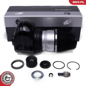 Comprar Muelle neumático, suspensión de ESEN SKV 58SKV081 a bajo precio de 247,20 €