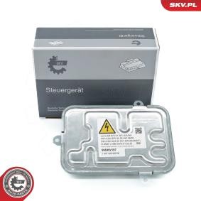 Scheinwerfer-Steuergerät von ESEN SKV