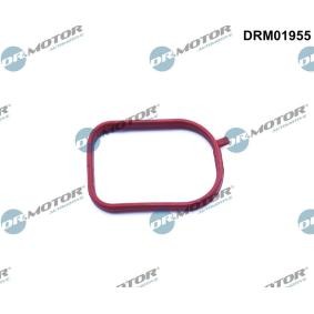 Dichtung, Thermostatgehäuse DRM01955