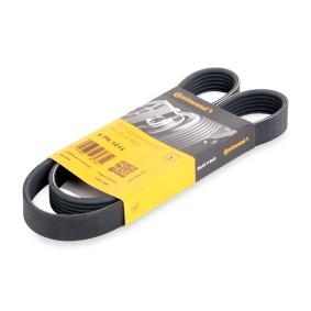 Compre Correia trapezoidal estriada da CONTITECH 6PK1015 a um preço baixo por 12,43 €