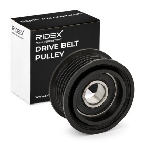 Acquista Rullo tenditore, cinghia poly-v da RIDEX online per Q7 (4M) a prezzi moderati