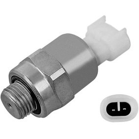 Kompressor, Luftfederung des Herstellers IVECO - Originalware Artikelnummer: 5802123194