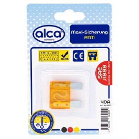 Sicherung von ALCA