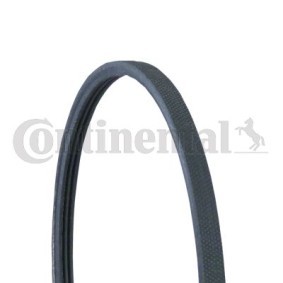 Compre Correia trapezoidal estriada da CONTITECH 3PJ891 a um preço baixo por 5,81 €