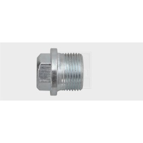 Verschlußschraube, Ölwanne 241221580 von SWGAutomotive günstig für 11,75 € online kaufen