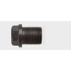 Verschlußschraube, Ölwanne 24300101916 von SWGAutomotive günstig für 7,14 € online kaufen