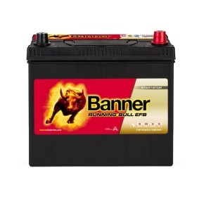 Batterie 012555150101 von BANNER günstig für 130,53 € online kaufen