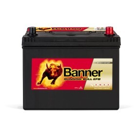 Batterie 012570150101 von BANNER günstig für 188,60 € online kaufen