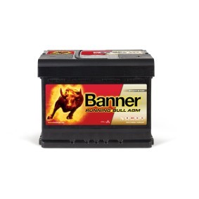 Batterie 016560010101 von BANNER günstig für 201,33 € online kaufen