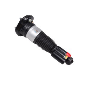 Luftfederbein 11035-01-2823 von MiesslerAutomotive günstig für 1384,39 € online kaufen