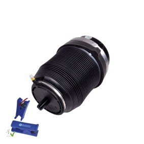 Compre Mola pneumática da MiesslerAutomotive 11117-01-6002 a um preço baixo por 607,31 €