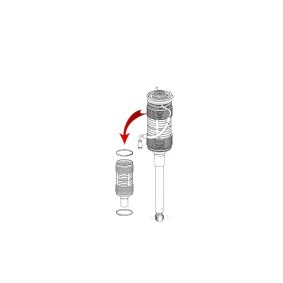 Compre Coifa amortecedor e batente do amortecedor de MiesslerAutomotive online para Classe S Cabrio (A217) a preços moderados