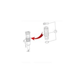Compre Coifa amortecedor e batente do amortecedor de MiesslerAutomotive online para Classe S Coupe (C216) a preços moderados