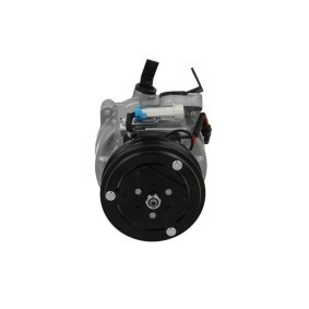 Acquista Compressore aria condizionata da BV PSH 090.505.066.130 a buon mercato per soli 294,56 €