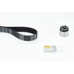 Comprar Rueda libre de alternador de CONTITECH AP9134 a bajo precio de 44,71 €