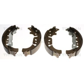 Bremsbackensatz 8100 15029 von TRISCAN günstig für 64,26 € online kaufen