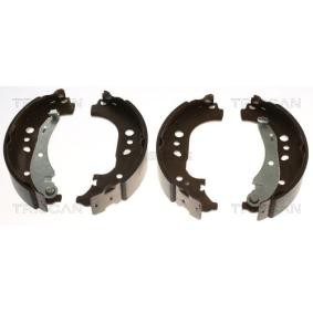 Bremsbackensatz 8100 29005 von TRISCAN günstig für 56,90 € online kaufen