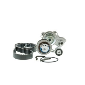 Acquista Kit cinghia distribuzione, pompa acqua da AISIN TKVG-7062 a buon mercato per soli 130,09 €