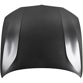Motorhaube 1219001 von DIEDERICHS günstig für 400,60 € online kaufen