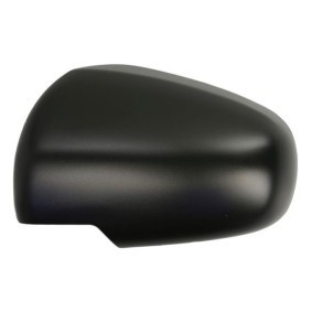 Compre Revestimento, retrovisor exterior da BLIC 6103-18-1384310P a um preço baixo por 29,51 €