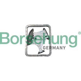 Steuerkettensatz B10241 von Borsehung günstig für 98,08 € online kaufen