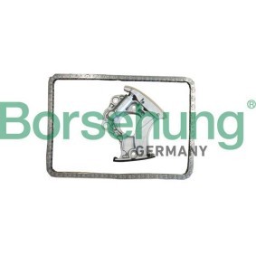 Steuerkettensatz von Borsehung