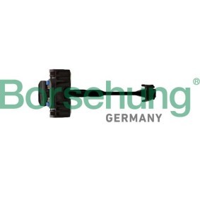 Hecktür des Herstellers Borsehung - Originalware Artikelnummer: B10280